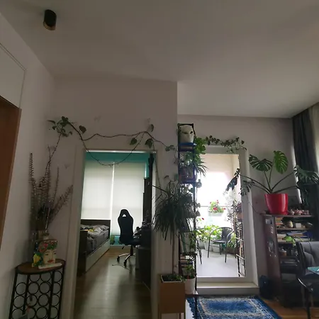 Lucky Place
